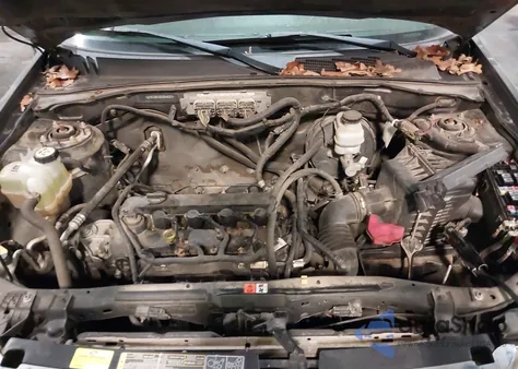 2012 Ford Escape Xlt from USA, damaged, VIN 1FMCU0D70CKA40284